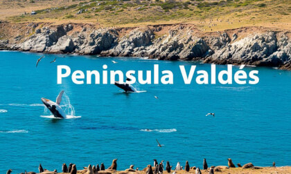 Peninsula Valdés Peninsula Valdés
