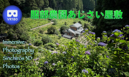 Hattori Hydrangea House Hattori Hydrangea House