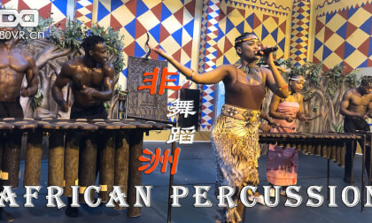 VR180 African traditional percussion music performance