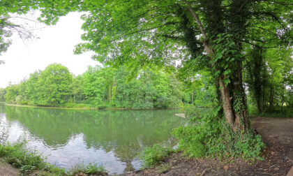 Lake Panorama