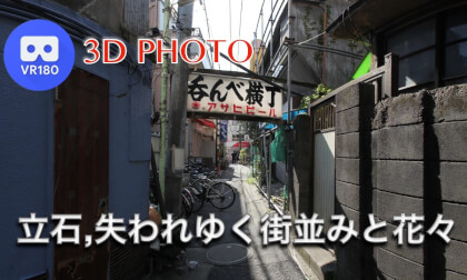 Tateishi, the townscape and flowers that are being destroyed Tateishi, the townscape and flowers that are being destroyed