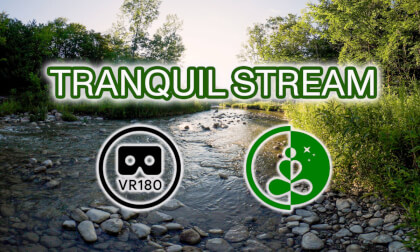 🌿 Tranquil Stream | VR180 Nature Experience | 8K VR Video 🌿 Tranquil Stream | VR180 Nature Experience | 8K VR