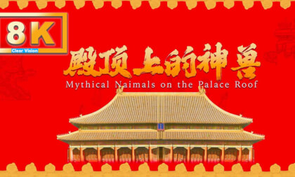 《殿顶上的神兽》8k字幕版   The Divine Beasts on the Roof of the Palace VR Video 《殿顶上的神兽》8k字幕版   The Divine Beasts on the Roof of the Palace VR