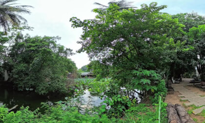 Chim Sẽ dành ăn VR Video Chim Sẽ dành ăn VR