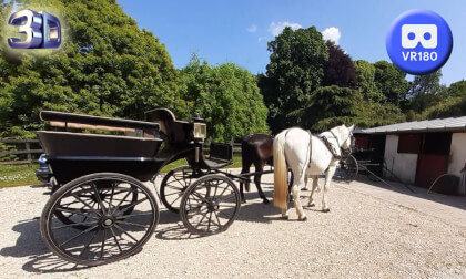 Ribeiro horse-drawn 180 VR 3D 2023 VR Video Ribeiro horse-drawn 180 VR 3D 2023 VR