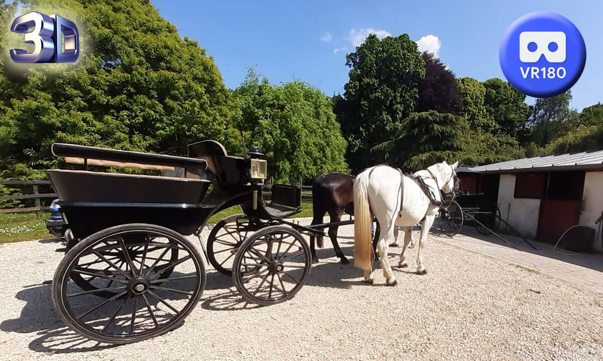 Ribeiro horse-drawn 180 VR 3D 2023
