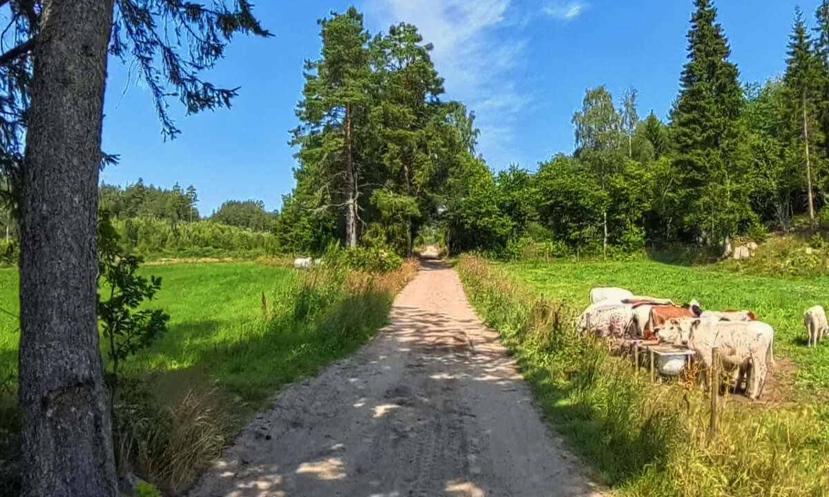 Tricycling Mørkveg-Grimstad’s Hidden Pearl 8K