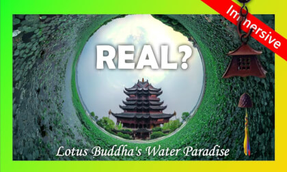 Chongyuan Lotus Bloom: Elegant Journey through Zen Temple and Lotus Pond | 重元莲开:禅寺莲池风雅之旅 Chongyuan Lotus Bloom: Elegant Journey through Zen Temple and Lotus Pond | 重元莲开:禅寺莲池风雅之旅