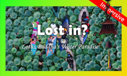 Summer SUP Party · A Paddleboard Stroll into the Lotus Mirror Wonderland VR | 夏日桨板派对 · 误入莲花仙镜 VR Summer SUP Party · A Paddleboard Stroll into the Lotus Mirror Wonderland VR | 夏日桨板派对 · 误入莲花仙镜 VR