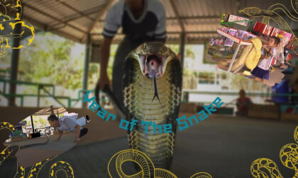 Year of the Snake The King Cobra Village in Spatial Video VR Video Year of the Snake The King Cobra Village in Spatial Video VR