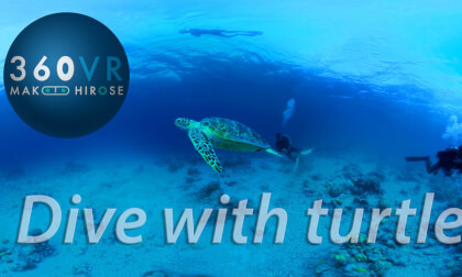 Dive with Turtle -Travel JAPAN- VR Video Dive with Turtle -Travel JAPAN- VR