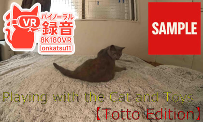 【SAMPLE】 [Playing with Toys with Toto | 8K & Binaural Audio]