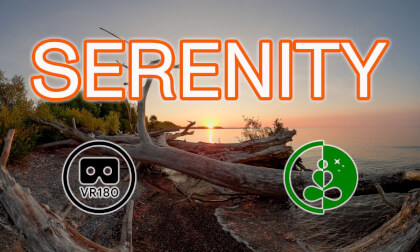 🌅 Sunrise Serenity in VR180 | Lake Ontario Nature Experience VR Video 🌅 Sunrise Serenity in VR180 | Lake Ontario Nature Experience VR