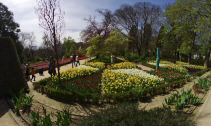 Real Jardin Botanico Garden of Madrid Spain 180VR 8K VR Video Real Jardin Botanico Garden of Madrid Spain 180VR 8K VR