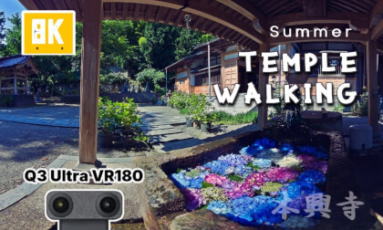 Temple Walking in summer - Q3U VR180 Temple Walking in summer - Q3U VR180