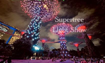 [180VR] Gardens by the Bay Light Shows, Gardens by the Bay