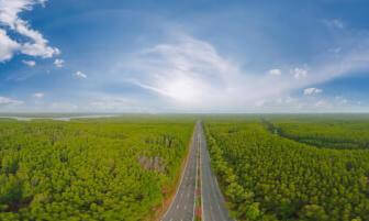 Rừng ngập mặn Cần Giờ VR Video Rừng ngập mặn Cần Giờ VR