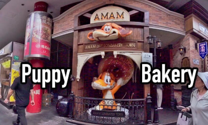 Puppy Bakery — The first Shanghai outlet of London’s Baking Town VR Video Puppy Bakery — The first Shanghai outlet of London’s Baking Town VR