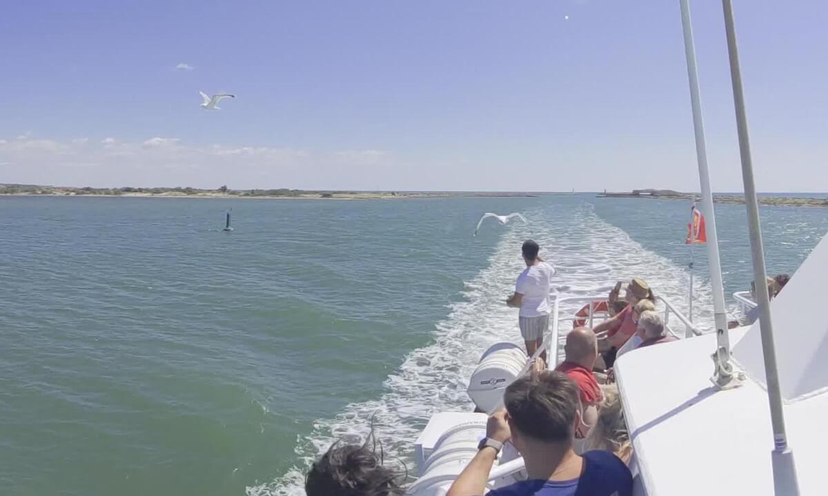 Feeding birds #gruissan