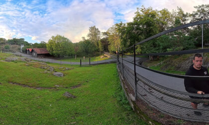 What Surprises Are Hiding at the Zoo? | 360 Video | Slottskogen Gothenburg Sweden What Surprises Are Hiding at the Zoo? | 360 Video | Slottskogen Gothenburg Sweden