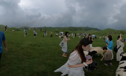Yangtianhu Grassland Scenic Area