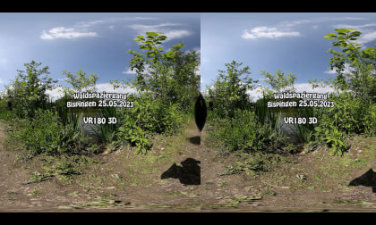 VR180 3D: Walk in a german Forst (Bispingen Lueneburger Heide)