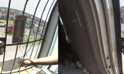 Calf Visinse Vr Test