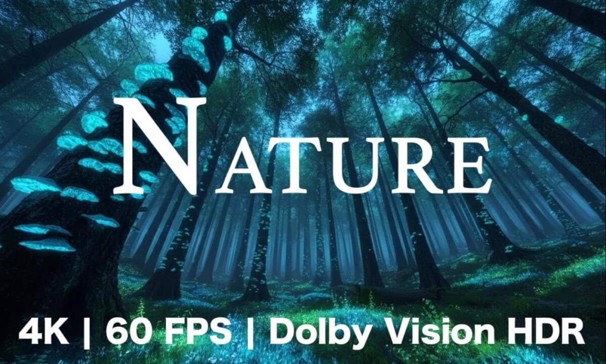 Nature, Relaxation Film - 4K at 60 FPS with Dolby Vision HDR