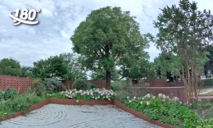 The Lush Birdcage Park-It feels like I'm confined in an enormous birdcage. The Lush Birdcage Park-It feels like I'm confined in an enormous birdcage.