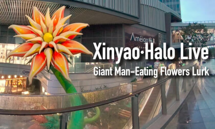 A large commercial district haunted by giant man-eating flowers A large commercial district haunted by giant man-eating flowers