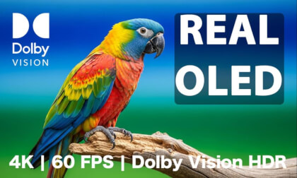 Real OLED - 4K HDR at 60FPS + Dolby Vision Real OLED - 4K HDR at 60FPS + Dolby Vision