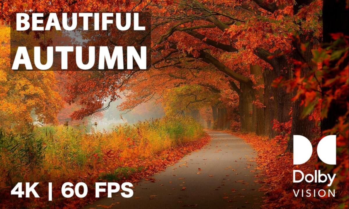 Beautiful Autumn 4K at 60FPS With The Clarity of Dolby Vision HDR