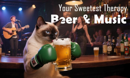 Beer and Music, Your Sweetest Therapy | 啤酒与音乐,你最甜蜜的治愈 Beer and Music, Your Sweetest Therapy | 啤酒与音乐,你最甜蜜的治愈