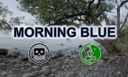 🌊 MORNING BLUE | Relaxing VR180 Nature Experience | Gentle Waves & Overcast Skies VR Video 🌊 MORNING BLUE | Relaxing VR180 Nature Experience | Gentle Waves & Overcast Skies VR