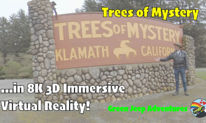 8K 3D Immersive VR: See The Stunning Redwoods at Trees of Mystery VR Video 8K 3D Immersive VR: See The Stunning Redwoods at Trees of Mystery VR