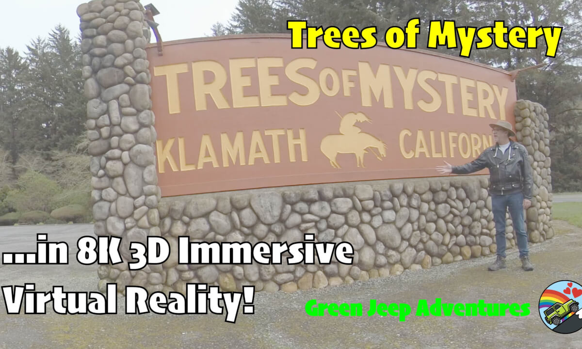 8K 3D Immersive VR: See The Stunning Redwoods at Trees of Mystery
