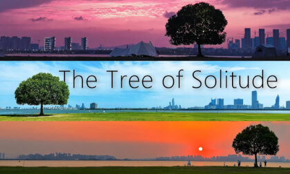 The Loneliest Tree:One tree holding up the whole season of the Summer | 一棵树,撑起整个湖的夏天 The Loneliest Tree:One tree holding up the whole season of the Summer | 一棵树,撑起整个湖的夏天