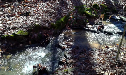 Sope Creek - Chattahoochee National Recreation Area