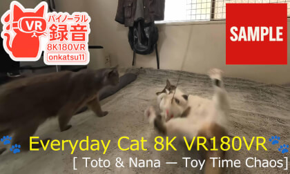 【SAMPLE】🐾 Cozy Cat Daily VR | Toto & Nana — Toy Time Chaos (8K VR180 · Binaural) 🐾