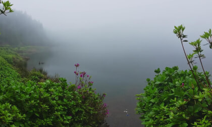 Foggy lake VR Video Foggy lake VR