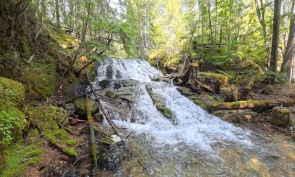 Stream and Gentle Cascade (8K, 360) Stream and Gentle Cascade (8K, 360)