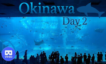 🌺 Okinawa Day 2｜Okinawa Churaumi Aquarium 🐋
