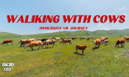 This Is What a Chinese Grassland Feels Like! VR Video This Is What a Chinese Grassland Feels Like! VR