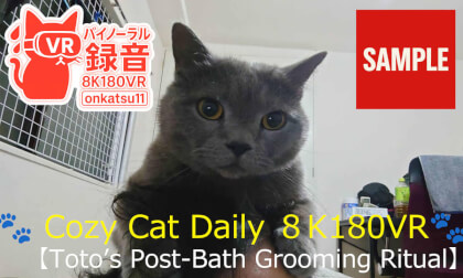 【SAMPLE】🐾 [8K VR180 & Binaural Audio] [Cozy Cat Daily VR | Toto’s Post-Bath Grooming Ritual] 🐾