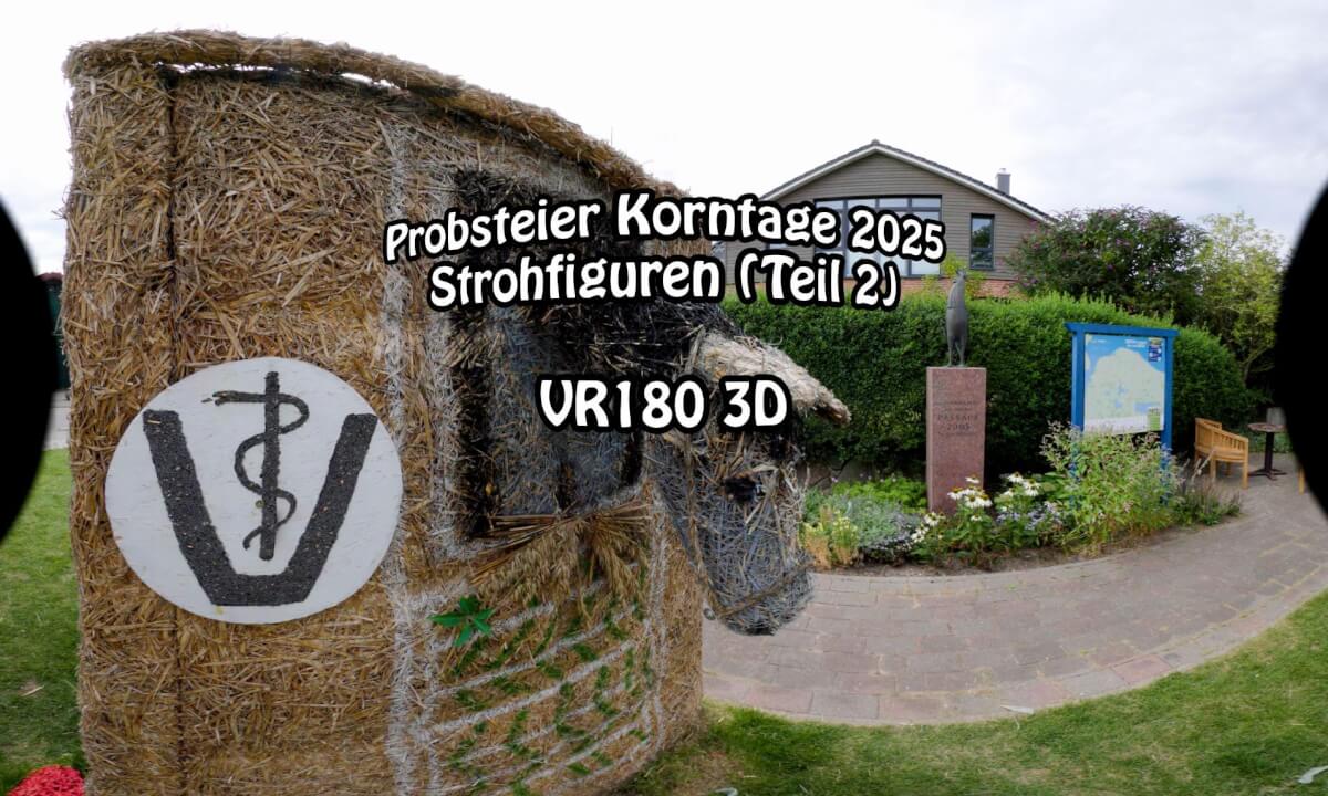 Probsteier Korntage 2025: Strohfiguren in VR180 3D in 8K (Teil 2)