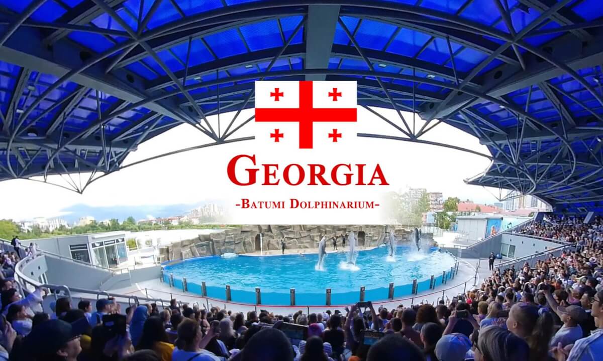 180 VR - Georgia 2025 - part 7 - DOLPHIN SHOW - Batumi