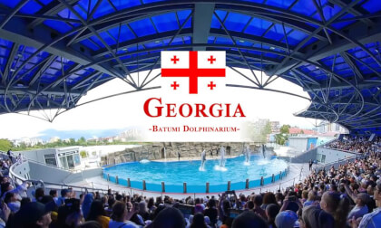 180 VR - Georgia 2025 - part 7 - DOLPHIN SHOW - Batumi VR Video 180 VR - Georgia 2025 - part 7 - DOLPHIN SHOW - Batumi VR
