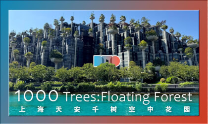 Floating Fores: A ¥20 Billion Urban Oasis, 1,000 Trees Creating a Future Living Lab | 悬浮的森林,200亿的城市绿洲,1000棵树筑起的未来生活实验 Floating Fores: A ¥20 Billion Urban Oasis, 1,000 Trees Creating a Future Living Lab | 悬浮的森林,200亿的城市绿洲,1000棵树筑起的未来生活实验