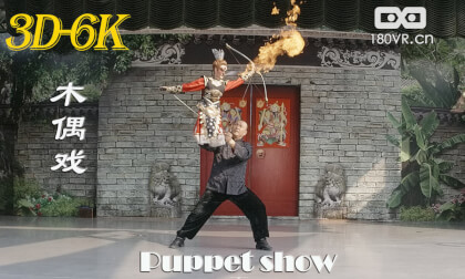 VR180 Puppet Show Performance VR180 Puppet Show Performance