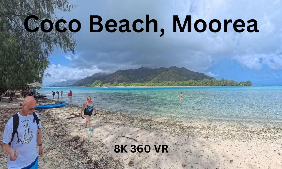Moorea Coco Beach in 360° | Sharks, Rays & Island Lunch | 8K VR Travel Vlog